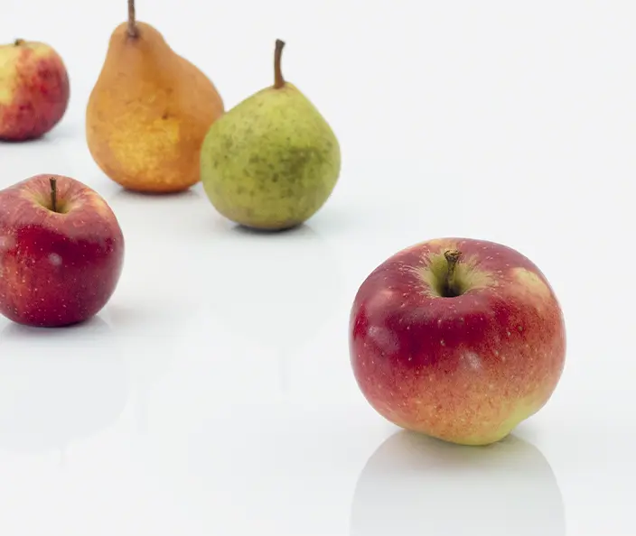 Fruits - Pommes et poires - gebana