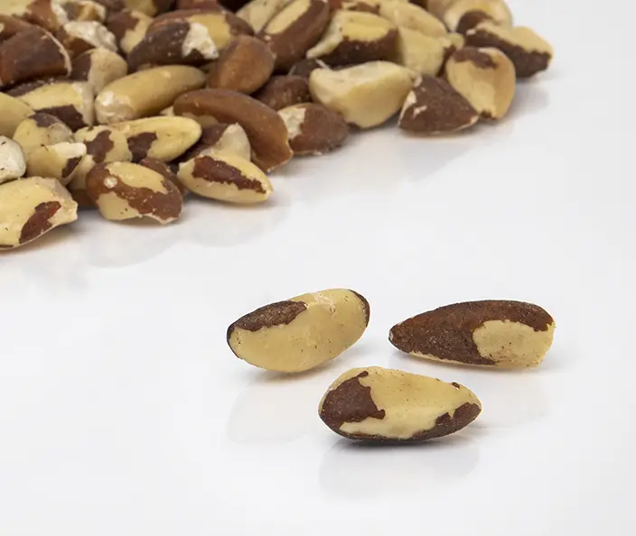 Brazil nut pieces