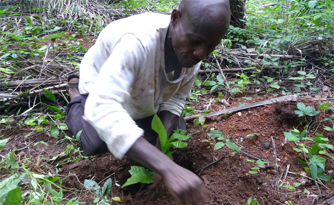 P1200506_bearb_650x400