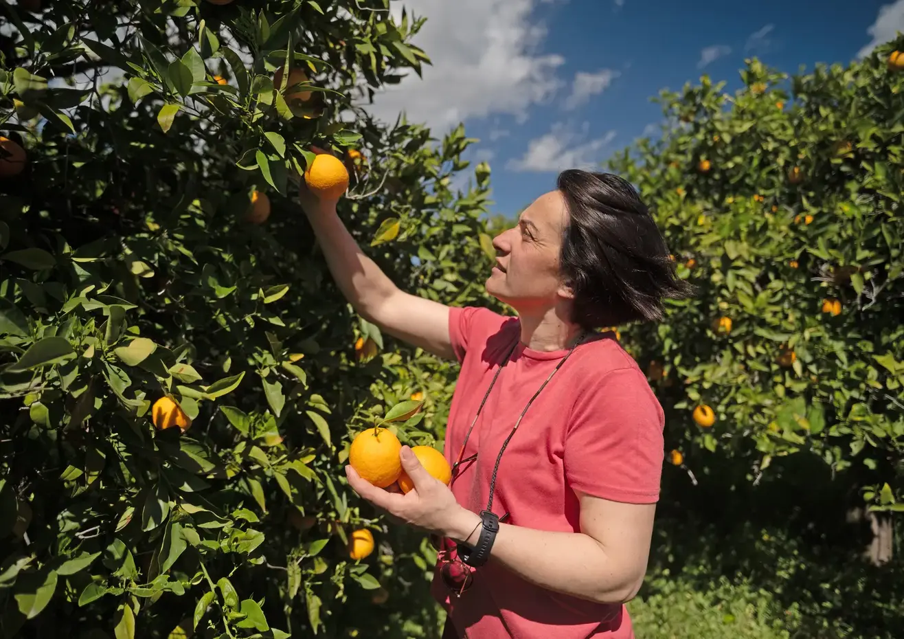 Fotini Tsiotakis, Orangenbäuerin