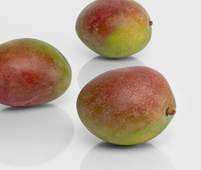 Früchte - Mangos - gebana