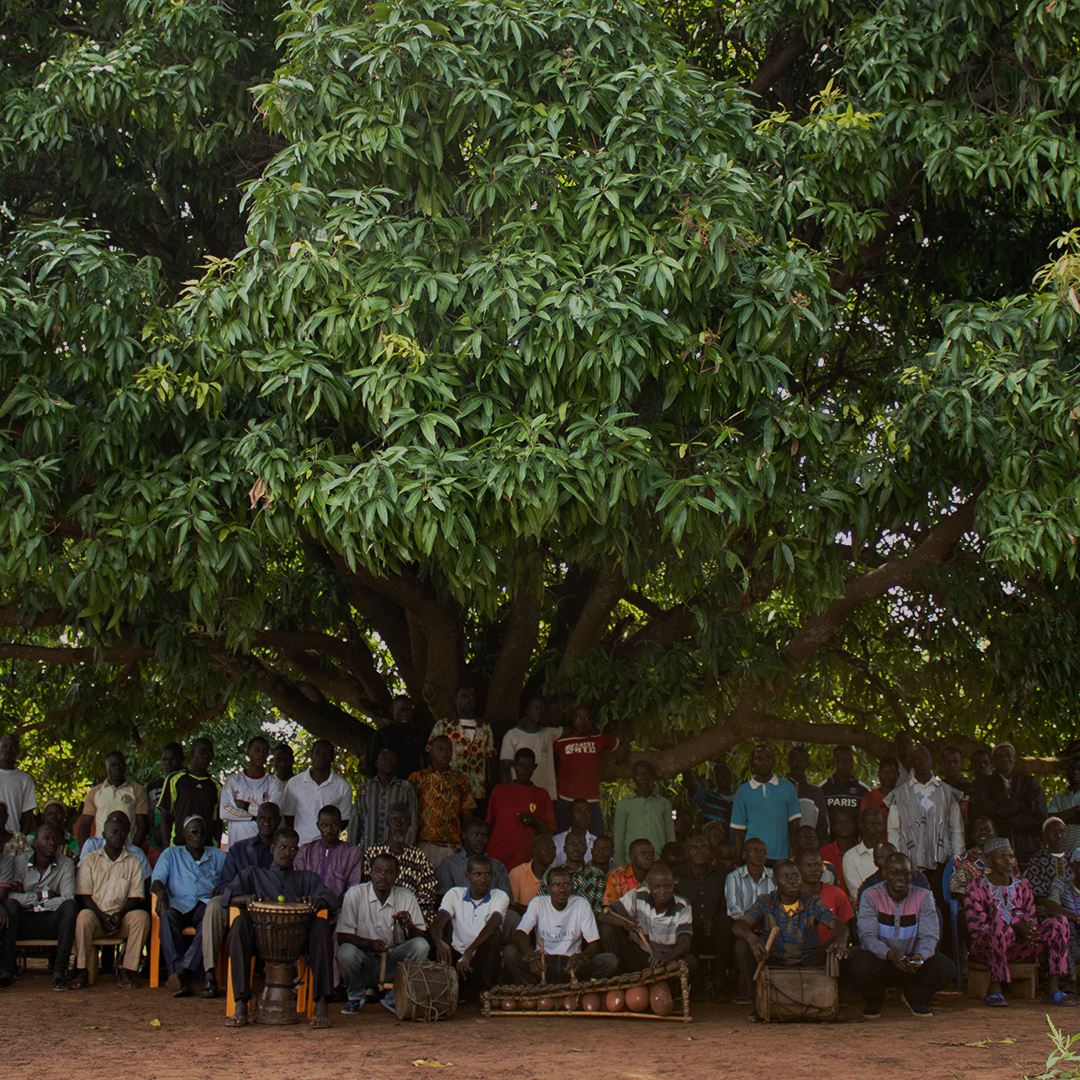 mangobaum_dorfzentrum_square_zi47hLy