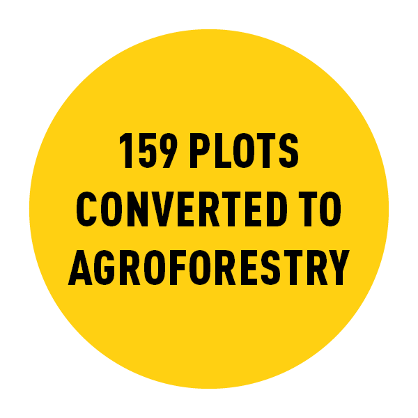 Yellow circle with black text inside reading 159 plots converted to agroforestry