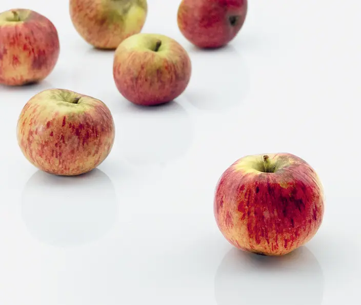 Früchte - Äpfel rot - gebana