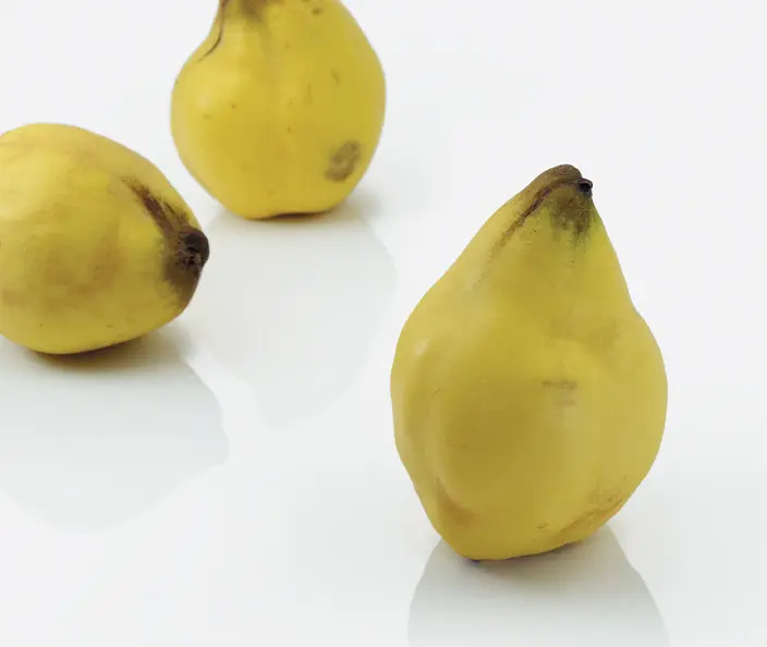 Fruit - Quinces From high-stem trees - gebana