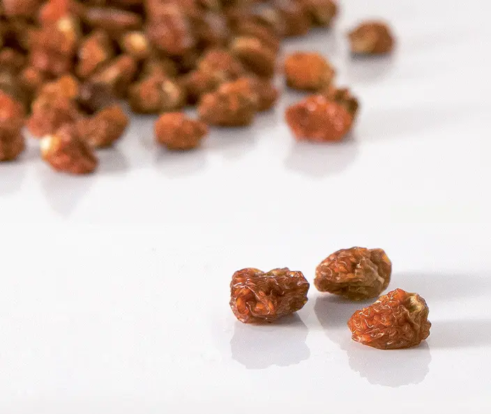 Trockenfrüchte - Physalis - gebana