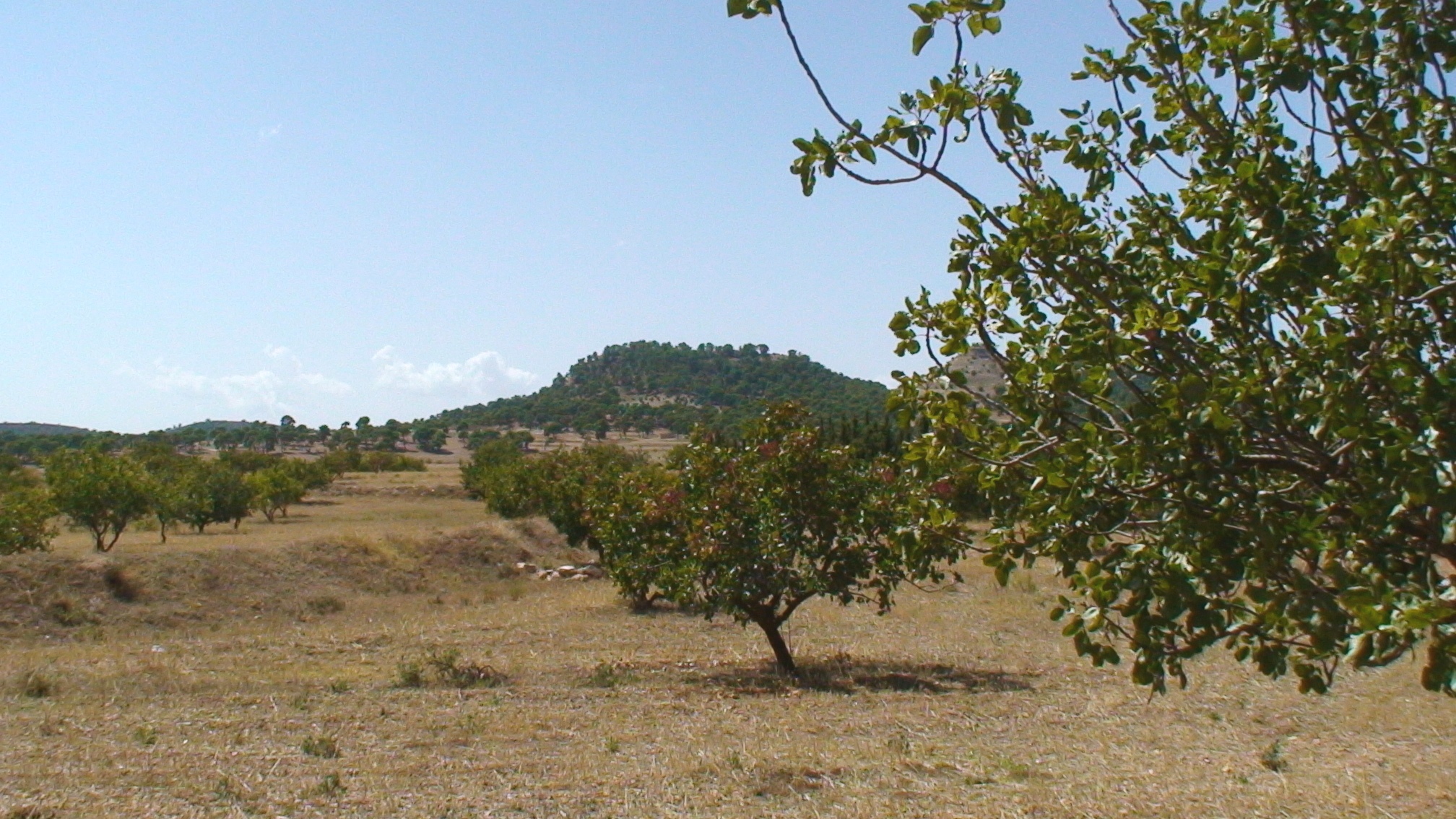 Gallery4_DSC02936