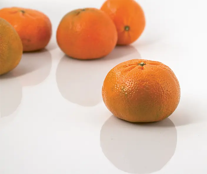 Früchte - Clementinen Mandarinen Satsumas - gebana