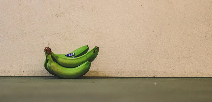 Des bananes vertes devant un mur - gebana.com