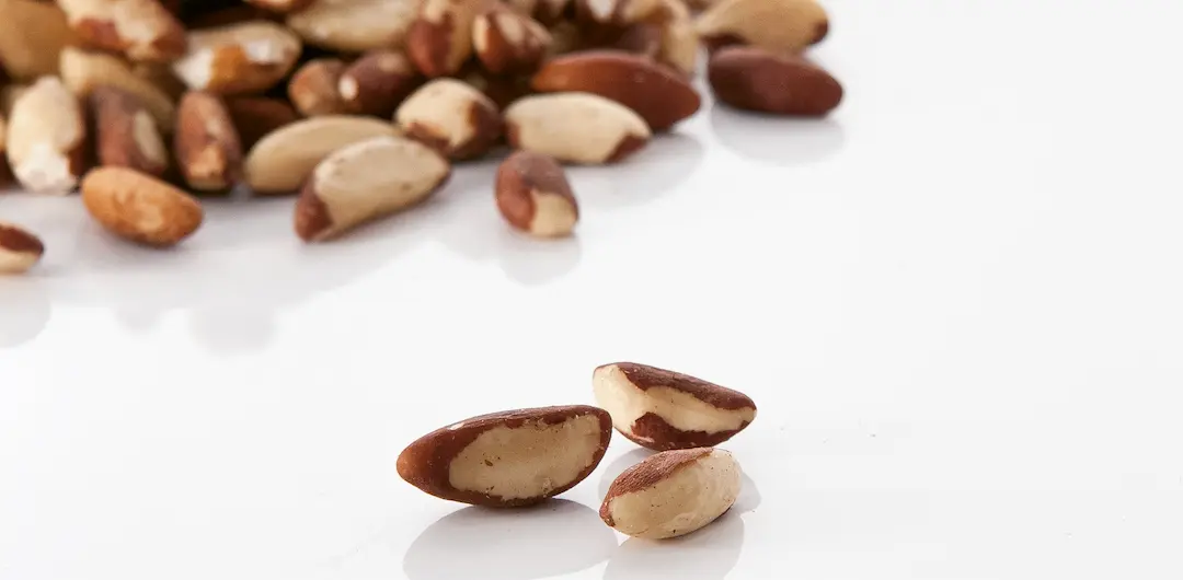 A pile of Brazil nuts on a white background