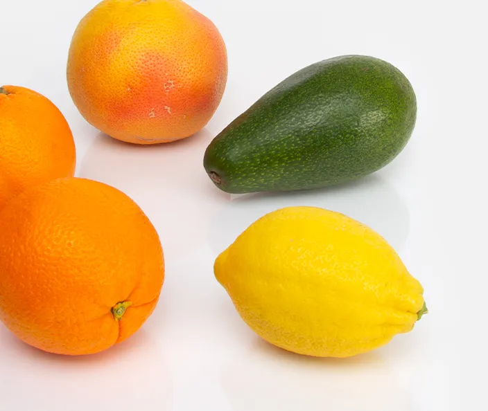 Zitrusfrüchte und Avocados - Paket mit Orangen, Avocados, Zitronen und Grapefruits - gebana