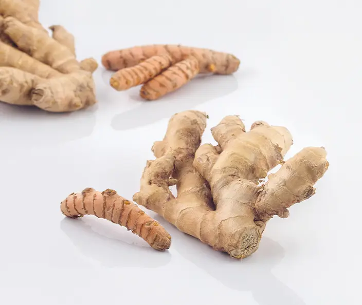 Légumes - Gingembre & Curcuma - gebana